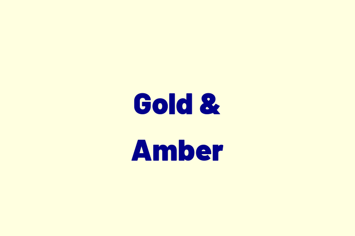 Gold & Amber