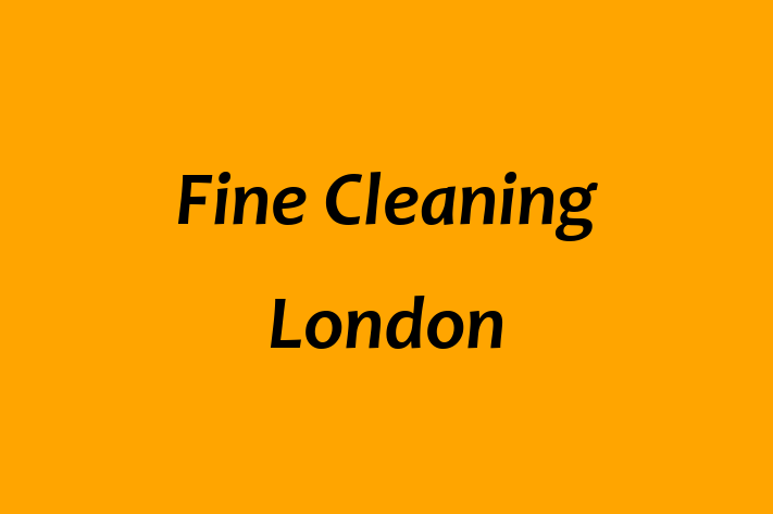 Fine Cleaning London