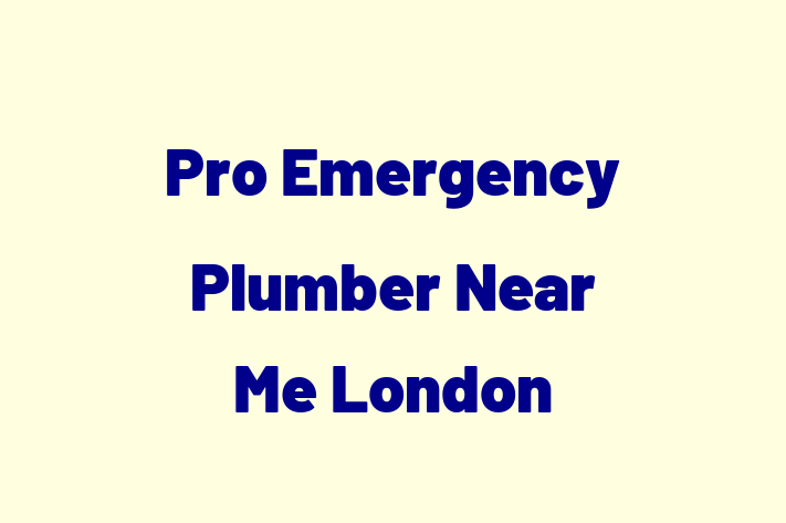 Pro Emergency Plumber Near Me London