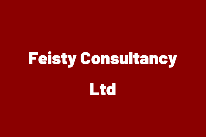 Feisty Consultancy Ltd