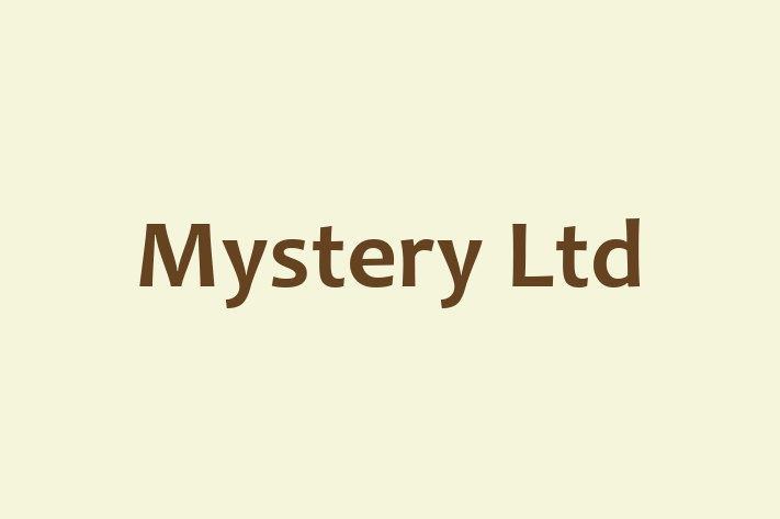 Mystery Ltd