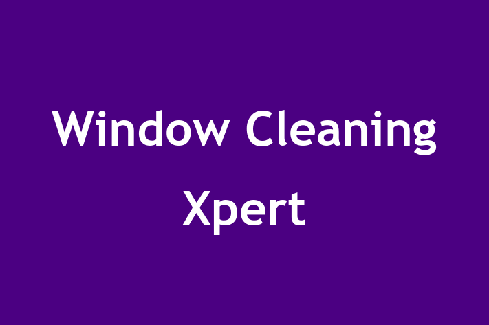 Window Cleaning Xpert