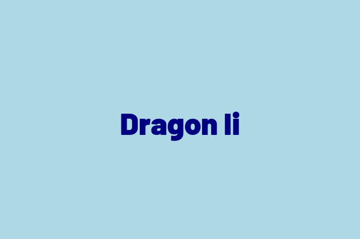 Dragon li Cat Available Now in Grantham