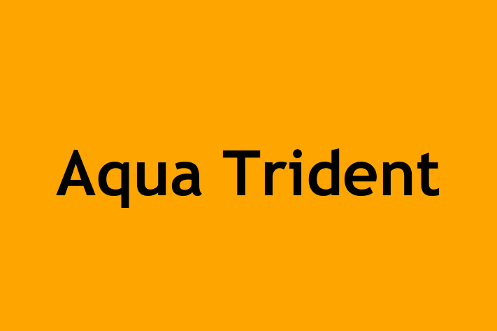 Aqua Trident