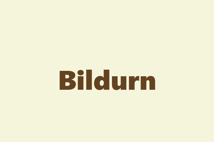 Bildurn