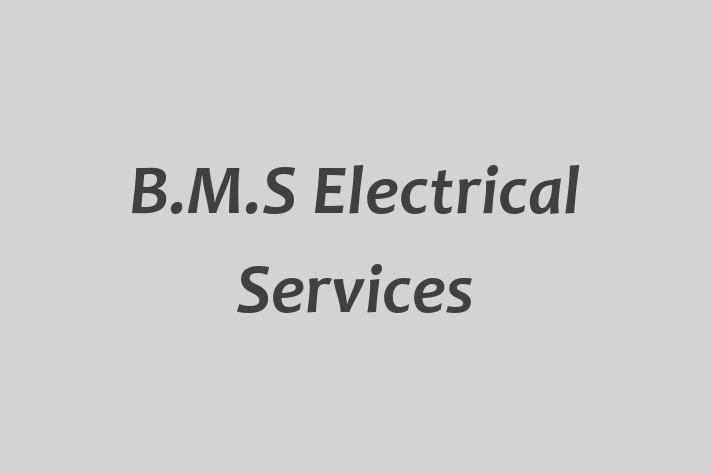 B M S Electrical Services