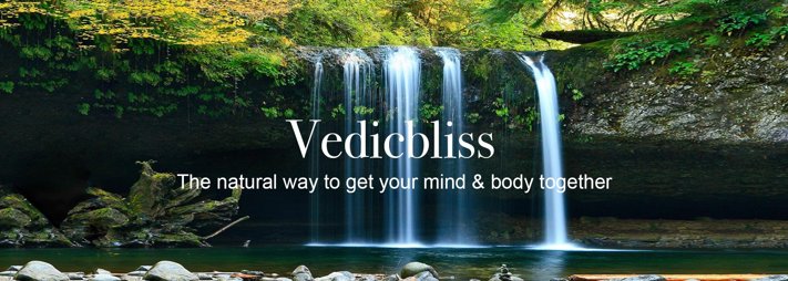 Vedic Bliss Ayurvedic Spa and Consultations