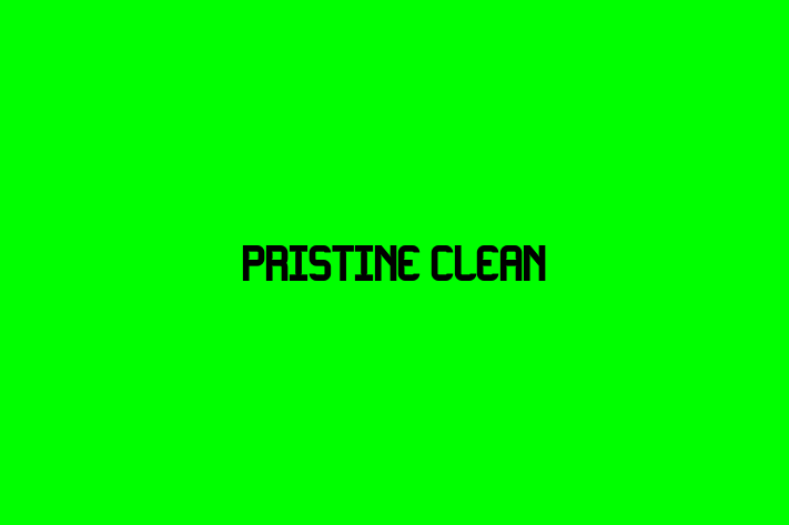 Pristine Clean