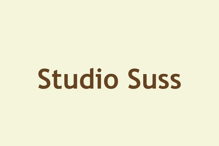 Studio Suss