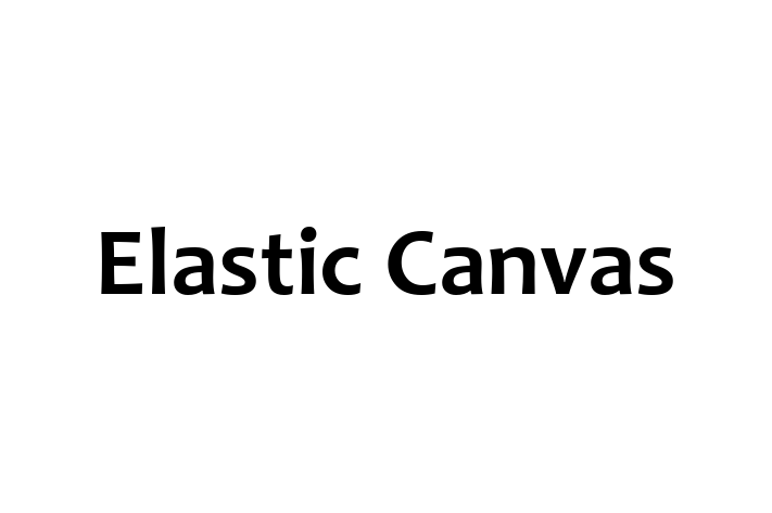 Elastic Canvas