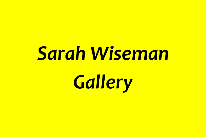 Sarah Wiseman Gallery