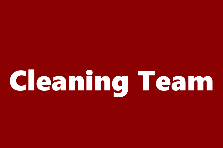 Cleaning Team