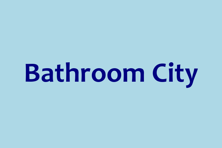 Bathroom City