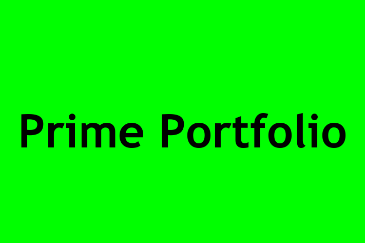 Prime Portfolio