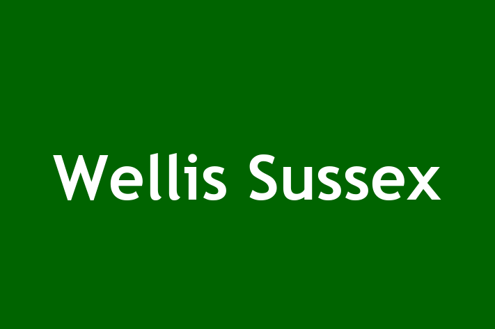 Wellis Sussex