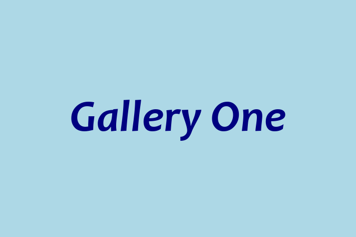 Gallery One