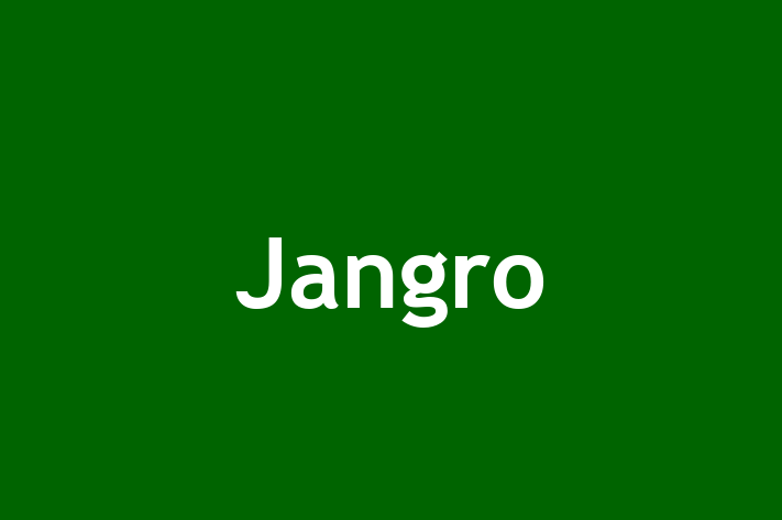 Jangro