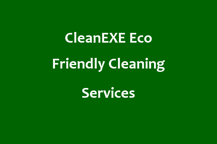 CleanEXE   Eco Friendly Cleaning Services