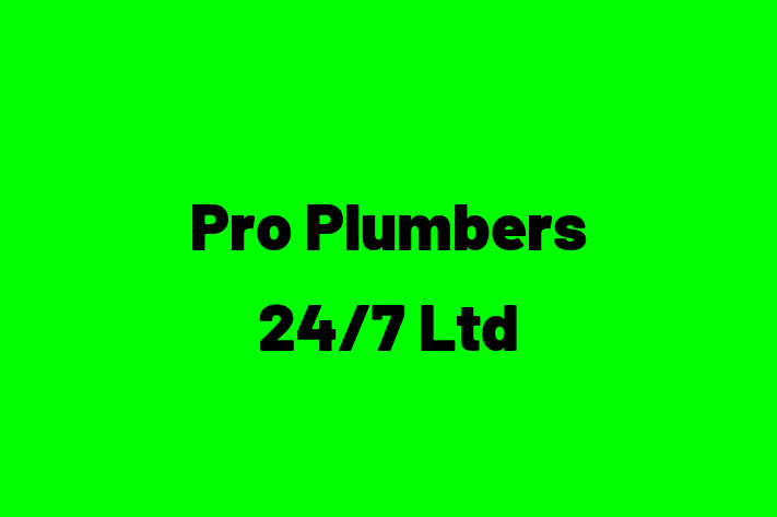 Pro Plumbers 24/7 Ltd