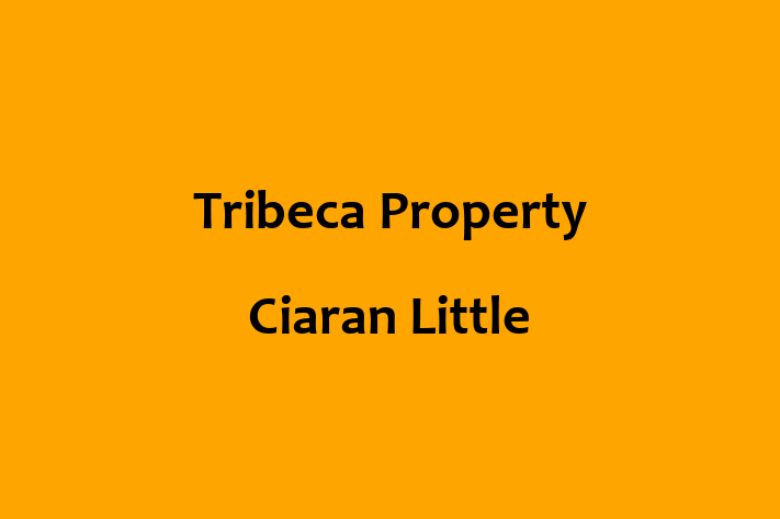 Tribeca Property Ciaran Little