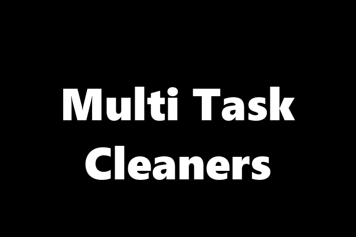 Multi Task Cleaners