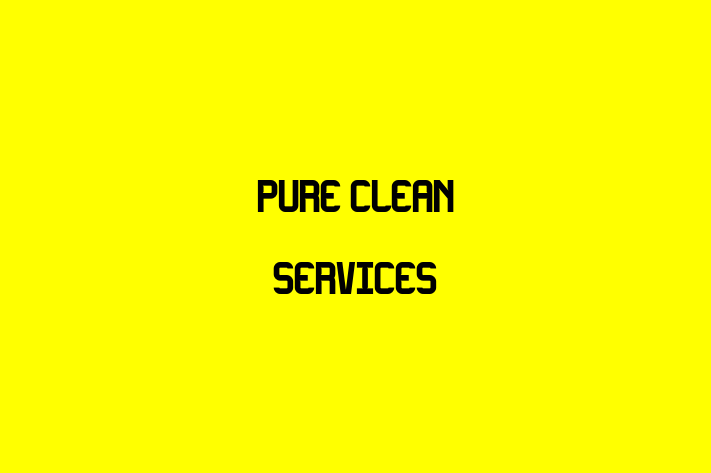 Pure Clean Services