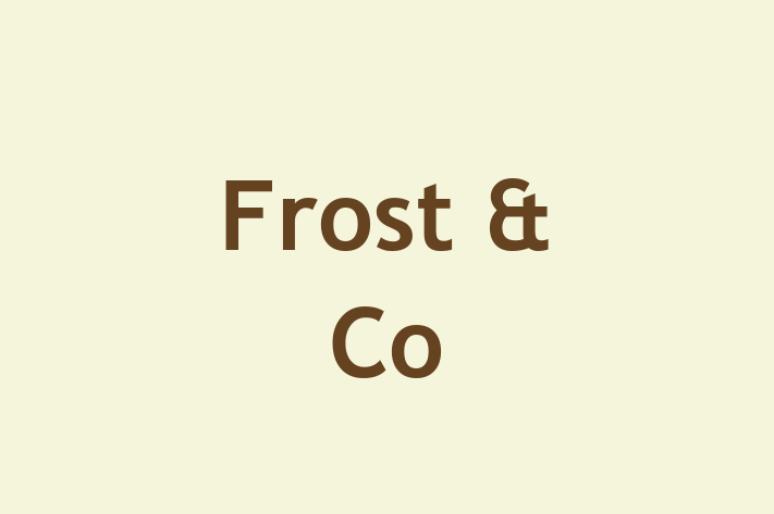 Frost & Co