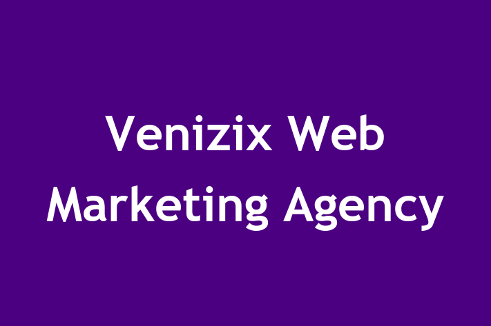 Venizix Web Marketing Agency