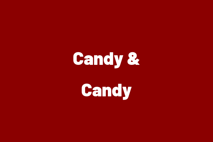 Candy & Candy