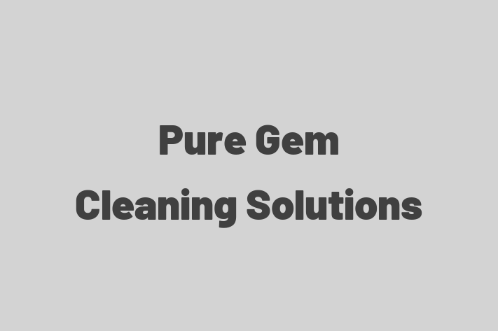 Pure Gem Cleaning Solutions