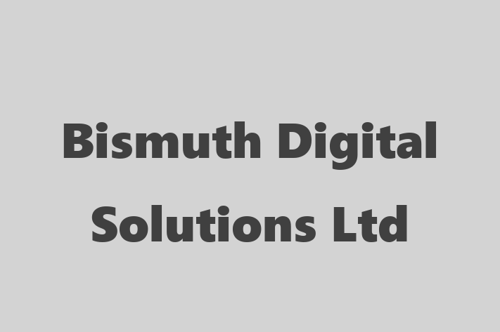 Bismuth Digital Solutions Ltd