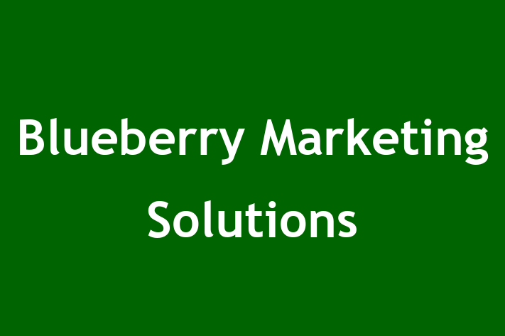 Blueberry Marketing Solutions