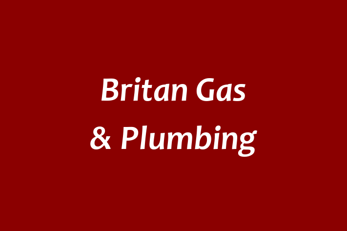 Britan Gas & Plumbing