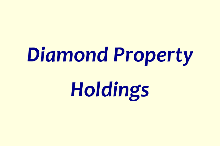 Diamond Property Holdings