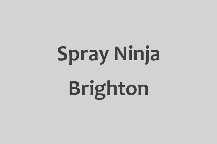 Spray Ninja Brighton