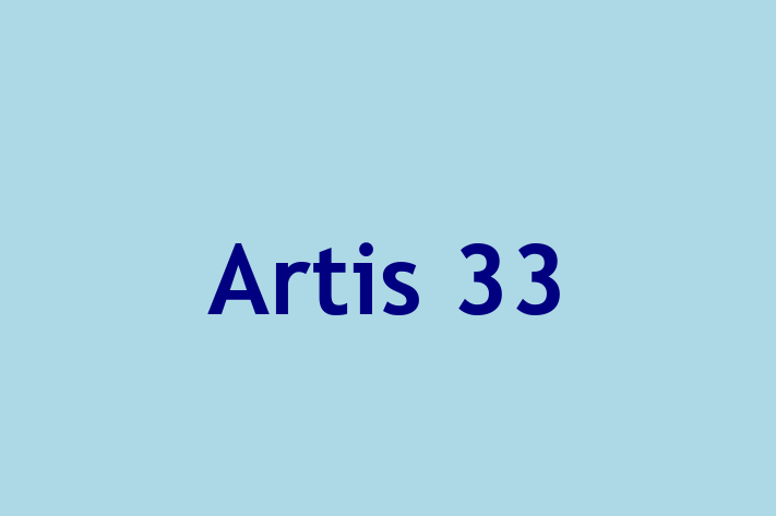 Artis 33