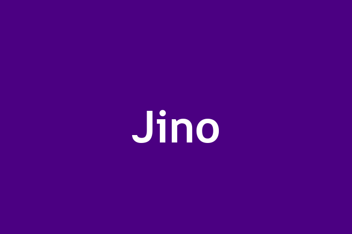 Jino