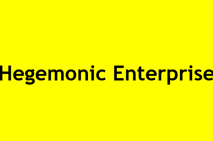 Hegemonic Enterprise