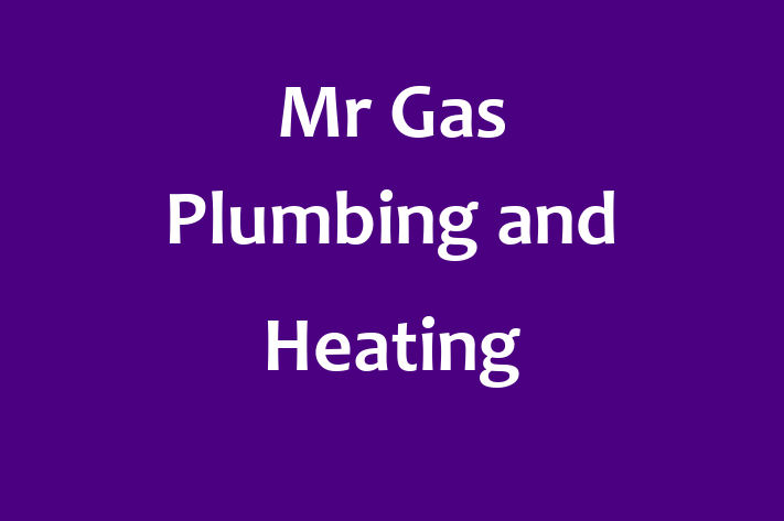 Mr Gas Plumbing and Heating