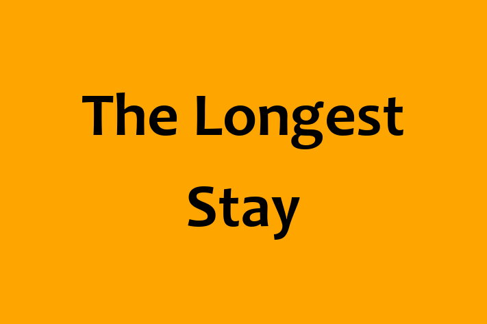 The Longest Stay