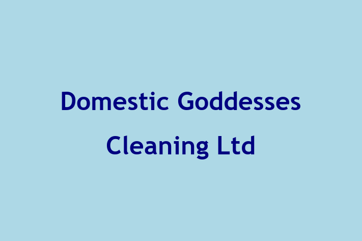 Domestic Goddesses Cleaning Ltd