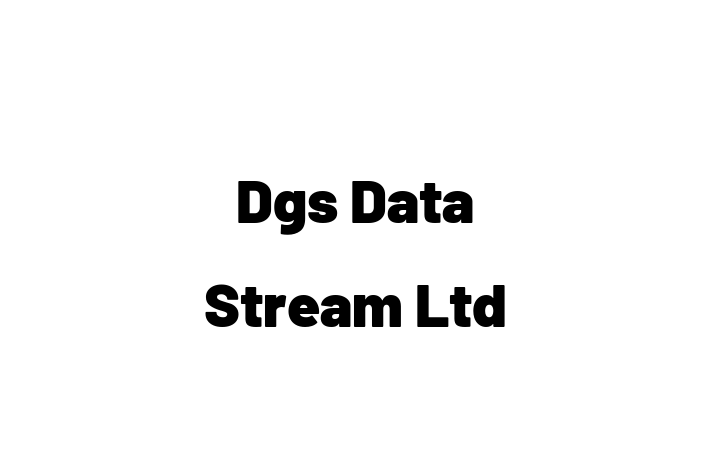 Dgs Data Stream Ltd