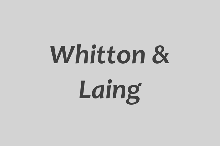 Whitton & Laing