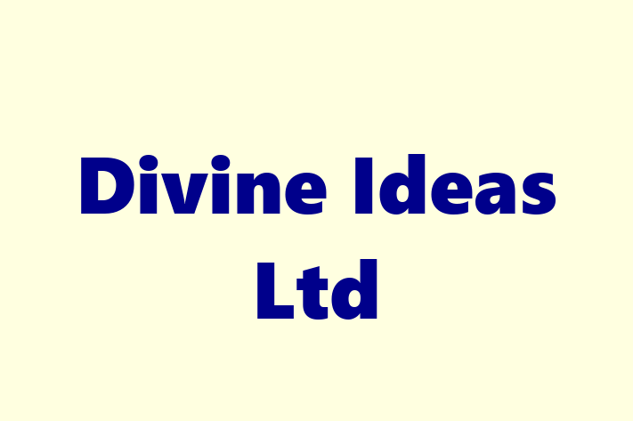 Divine Ideas Ltd