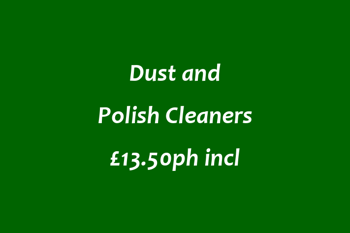 Dust and Polish Cleaners £13 50ph incl