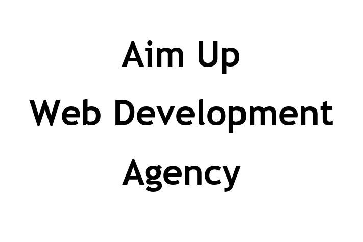 Aim Up Web Development Agency