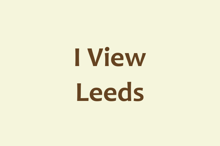 I View Leeds