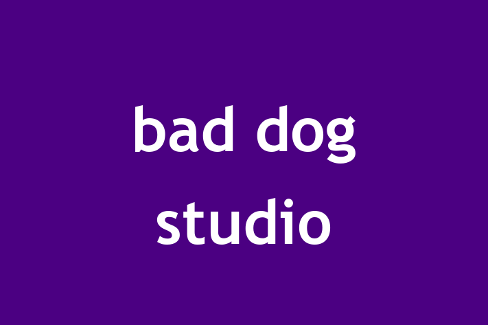 bad dog studio