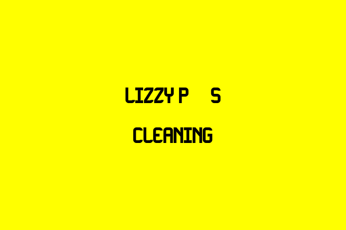 Lizzy P's Cleaning