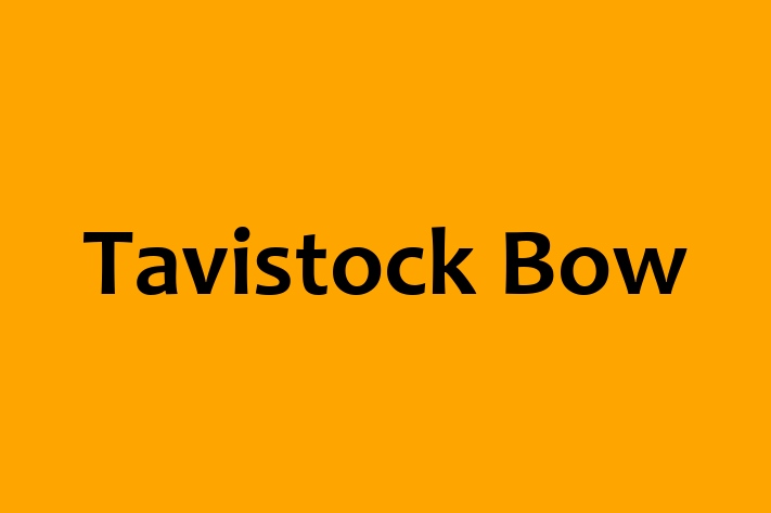 Tavistock Bow